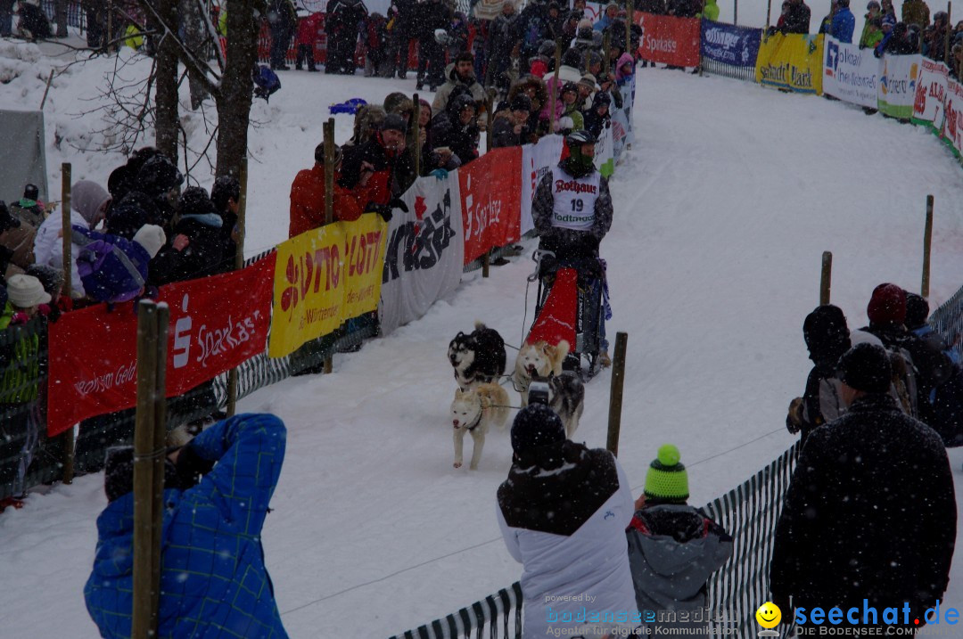 Schlittenhunderennen: Todtmoos im Schwarzwald, 24.02.2013