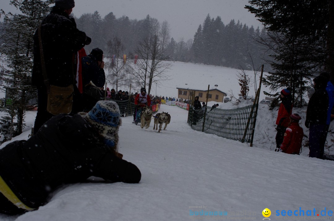 Schlittenhunderennen: Todtmoos im Schwarzwald, 24.02.2013