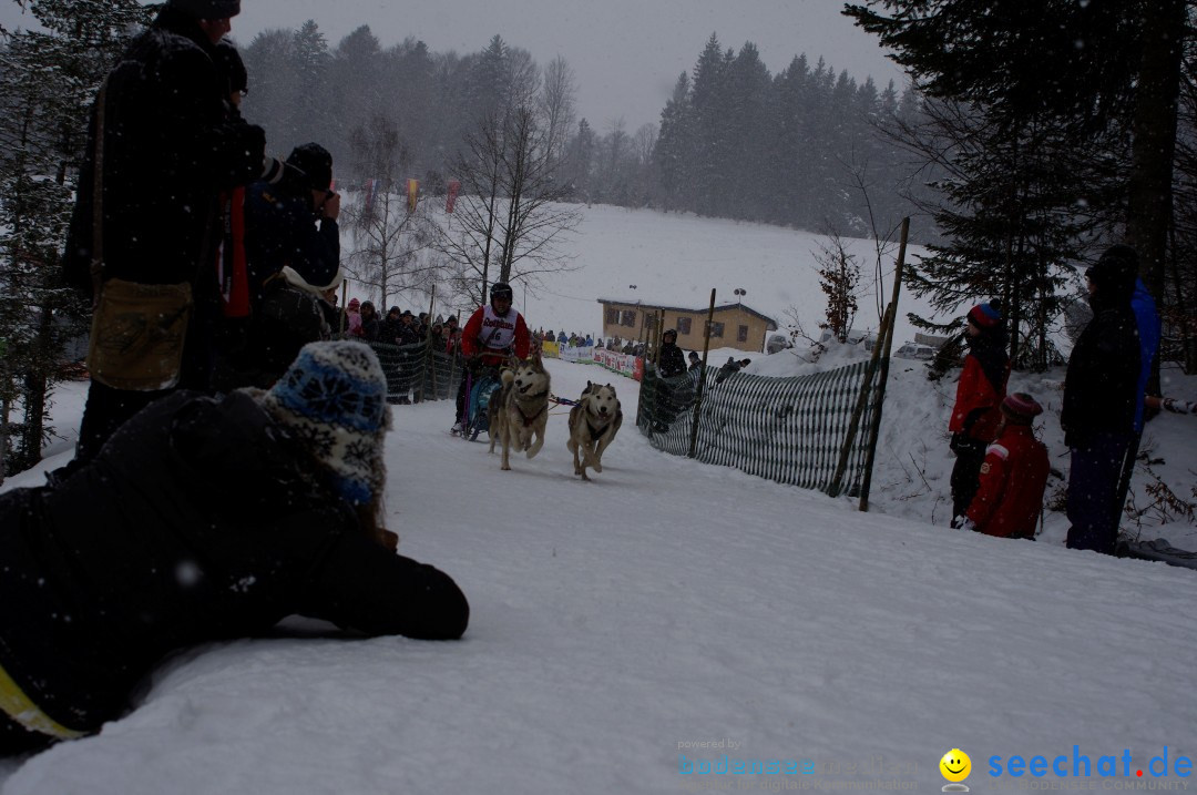 Schlittenhunderennen: Todtmoos im Schwarzwald, 24.02.2013