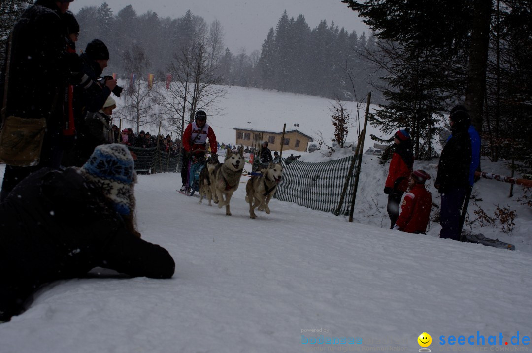 Schlittenhunderennen: Todtmoos im Schwarzwald, 24.02.2013