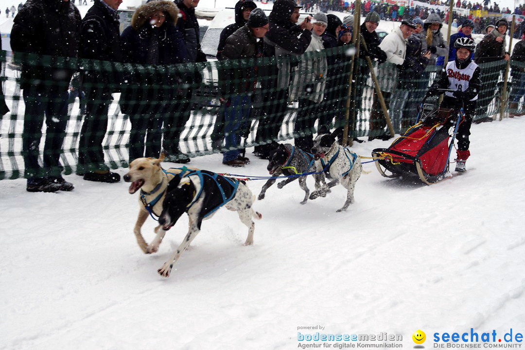 Schlittenhunderennen: Todtmoos im Schwarzwald, 24.02.2013