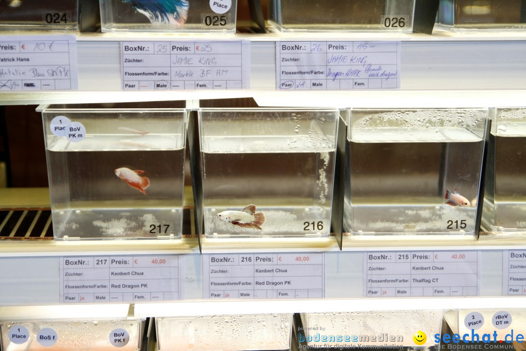 AQUA-FISCH - Messe: Friedrichshafen am Bodensee, 09.03.2013