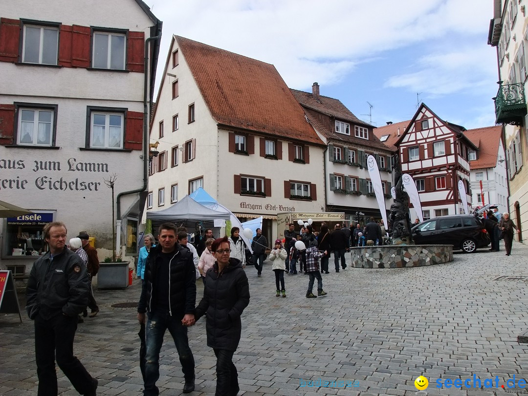 Verkaufsoffener Sonntag und Vernissage: Riedlingen, 10.03.2013