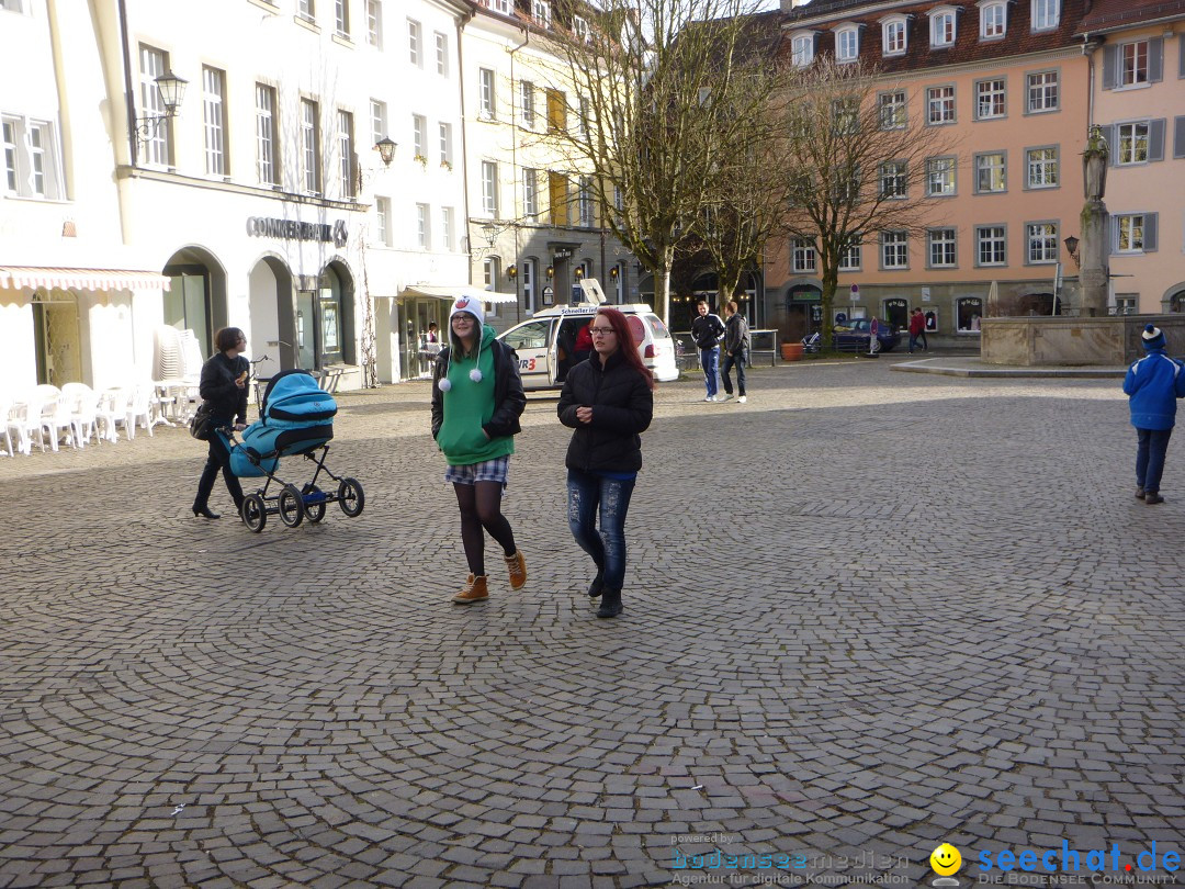 SWR3-Elchalarm-2013-_berlingen-200313-Bodensee-Community-SEECHAT_DE-P1030779.JPG