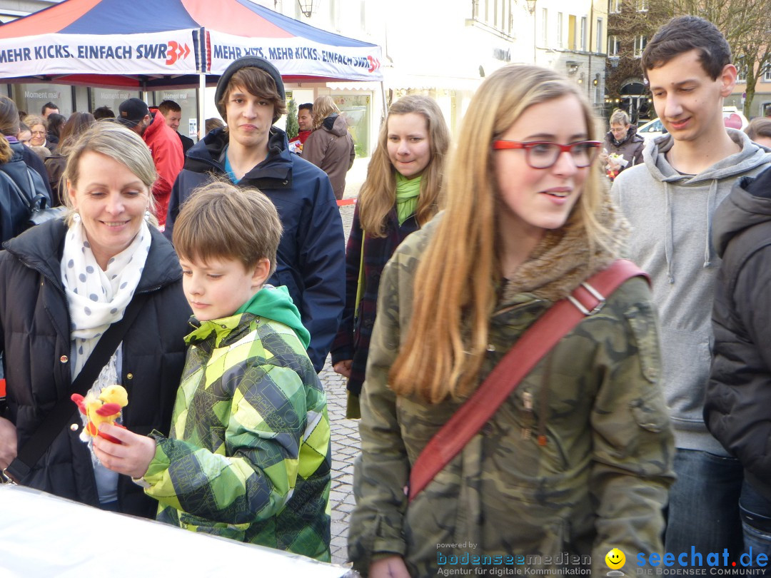 SWR3-Elchalarm-2013-_berlingen-200313-Bodensee-Community-SEECHAT_DE-P1030823.JPG