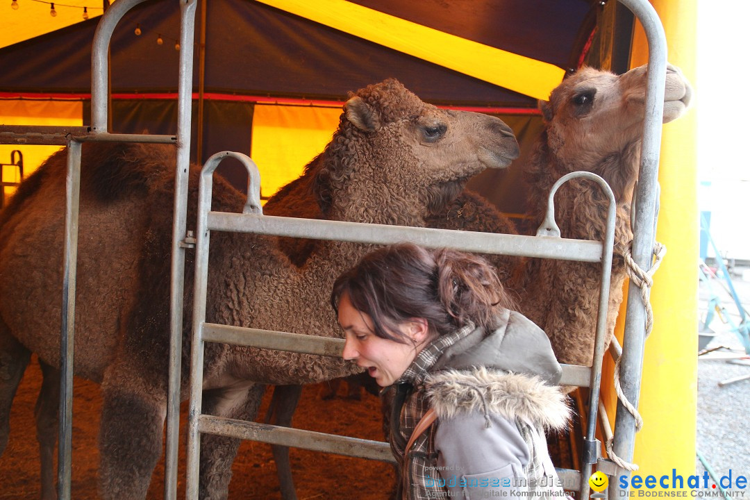 Circus Luna: Radolfzell am Bodensee, 20.05.2013