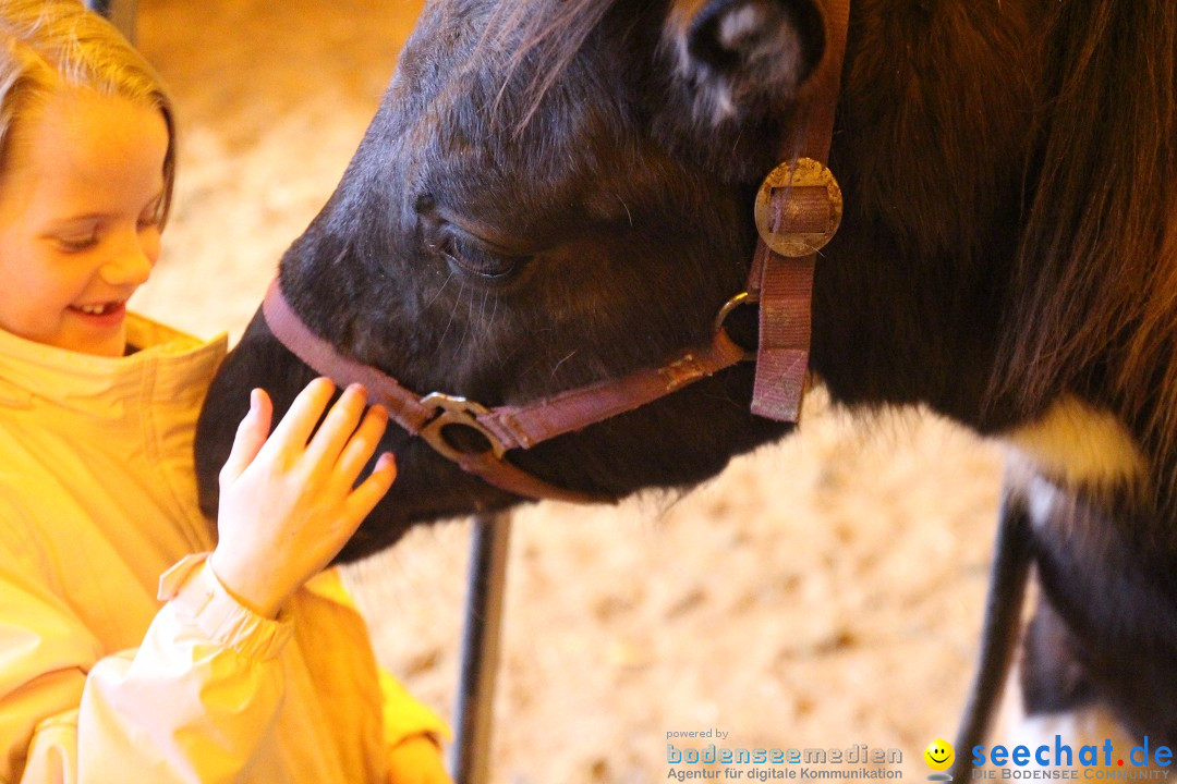 Circus Luna: Radolfzell am Bodensee, 20.05.2013