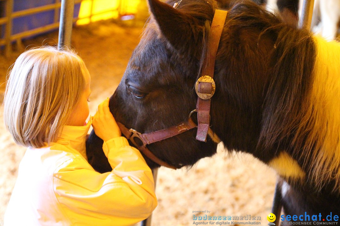 Circus Luna: Radolfzell am Bodensee, 20.05.2013