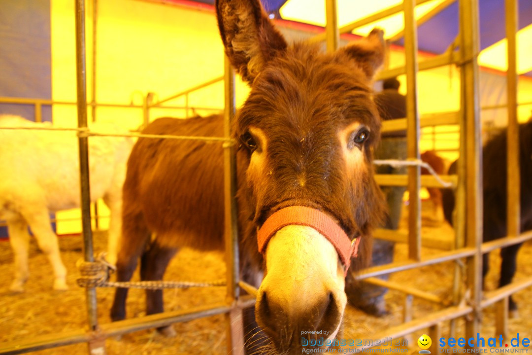 Circus Luna: Radolfzell am Bodensee, 20.05.2013