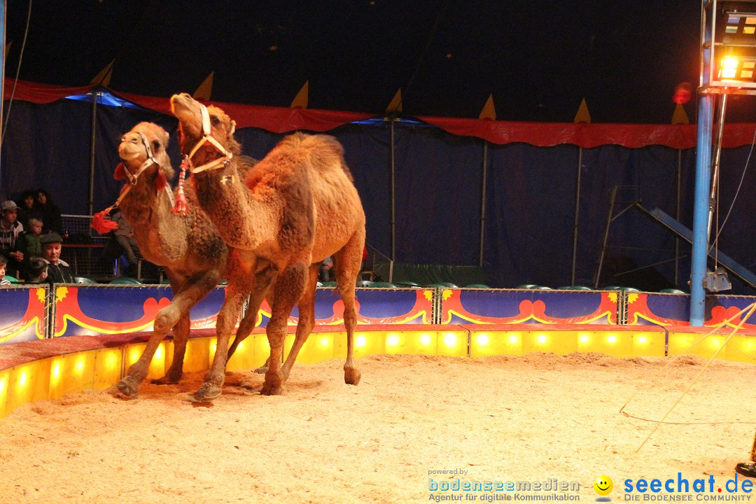 Circus Luna: Radolfzell am Bodensee, 20.05.2013