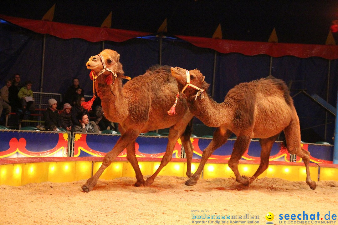 Circus Luna: Radolfzell am Bodensee, 20.05.2013