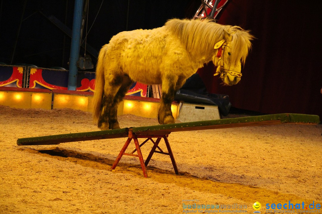 Circus Luna: Radolfzell am Bodensee, 20.05.2013