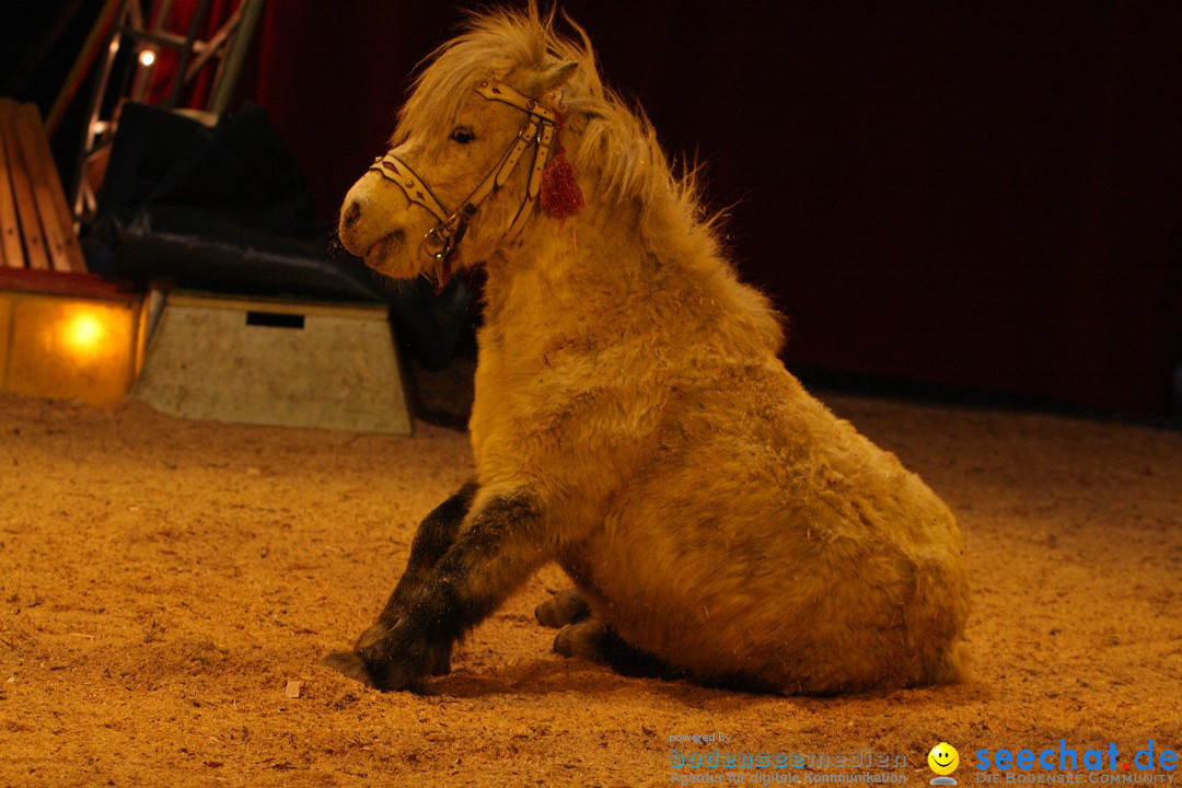 Circus Luna: Radolfzell am Bodensee, 20.05.2013