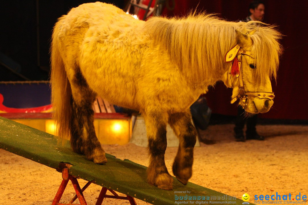 Circus Luna: Radolfzell am Bodensee, 20.05.2013