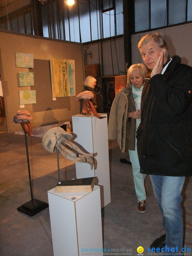 Kunstausstellung -  Artists for freedom: Ulm, 05.04.2013