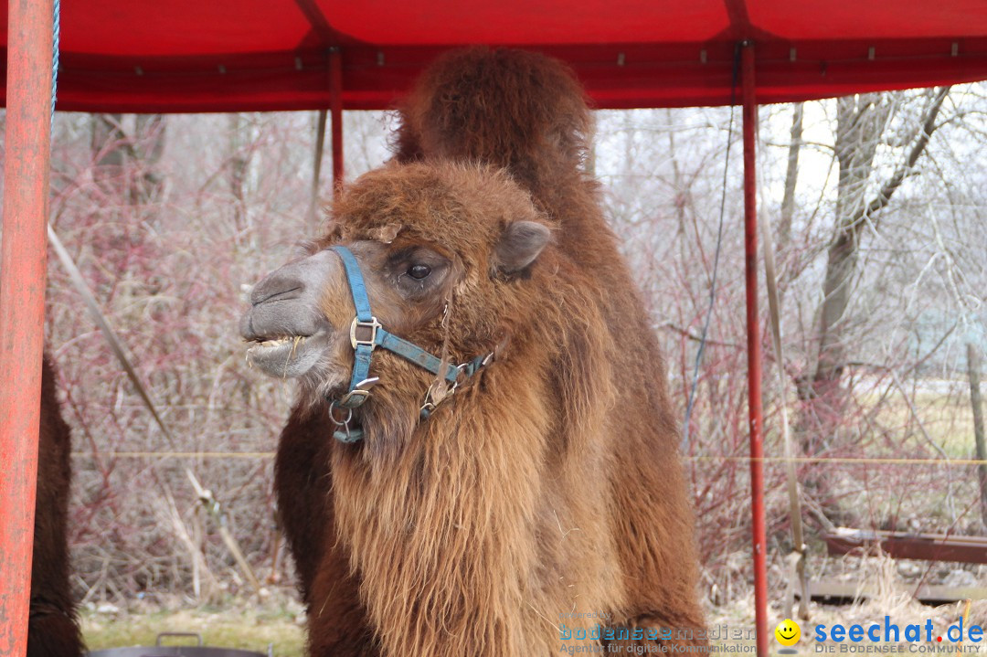 CIRCUS HENRY - Zauber der Manege: Bad Wurzach, 07.04.2013