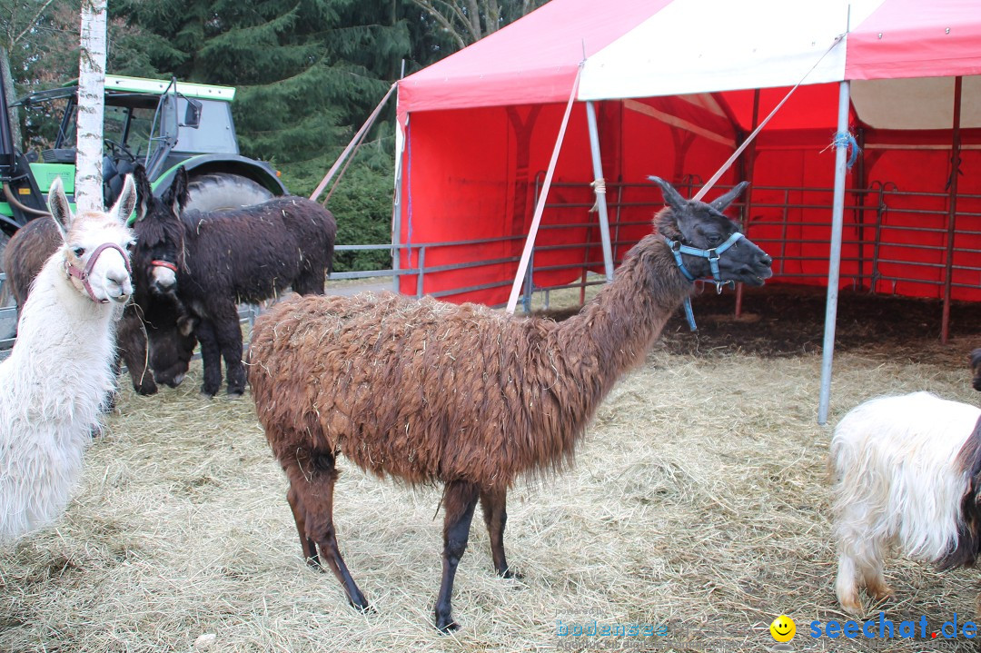 CIRCUS HENRY - Zauber der Manege: Bad Wurzach, 07.04.2013