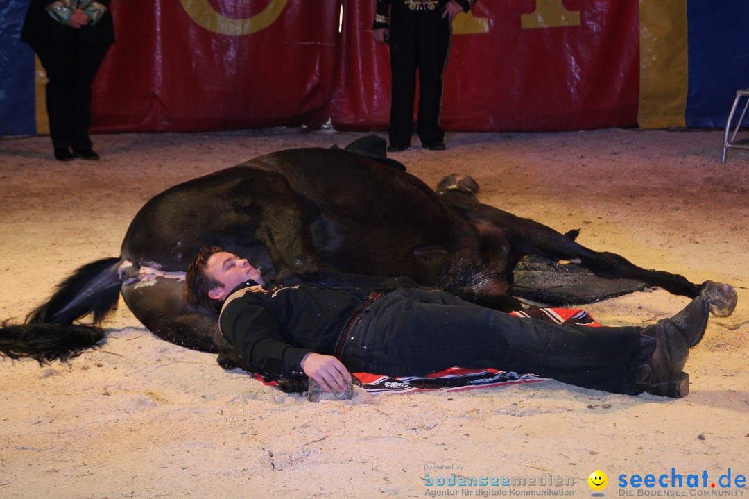 CIRCUS HENRY - Zauber der Manege: Bad Wurzach, 07.04.2013