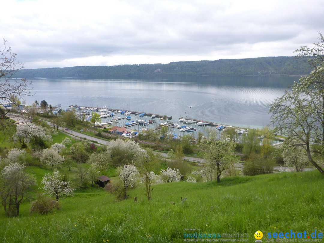 8. IBC-Kunstmesse: Ludwigshafen am Bodensee, 28.04.2013