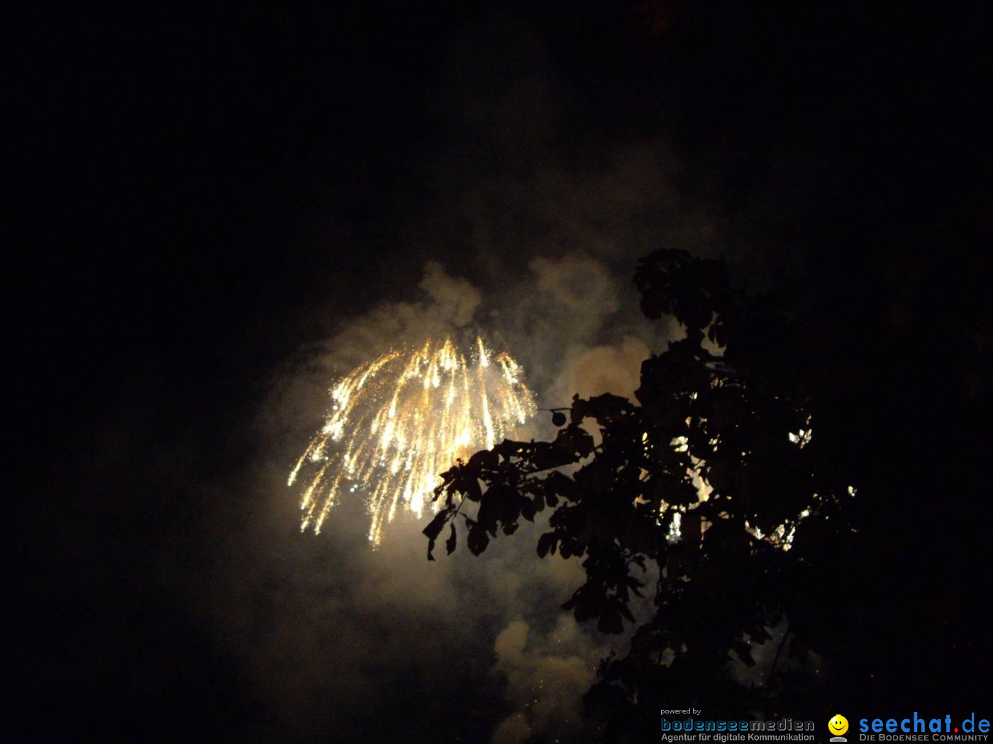 Bregenz Feuerwerk