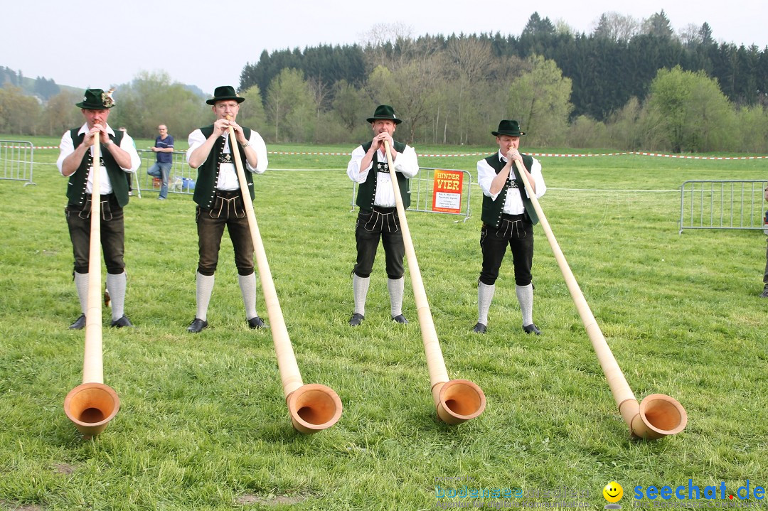 Eglofser Feuerzauber mit Ballongluehen: Eglofs - Wangen im Allgaeu, 01.05.2