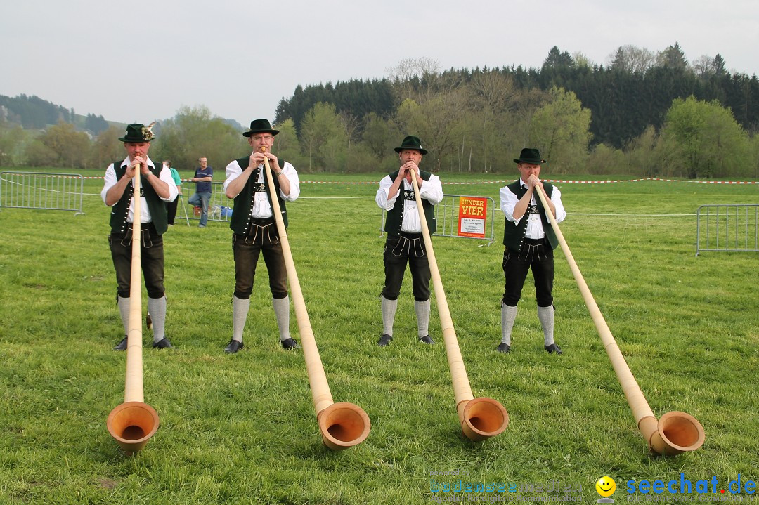 Eglofser Feuerzauber mit Ballongluehen: Eglofs - Wangen im Allgaeu, 01.05.2