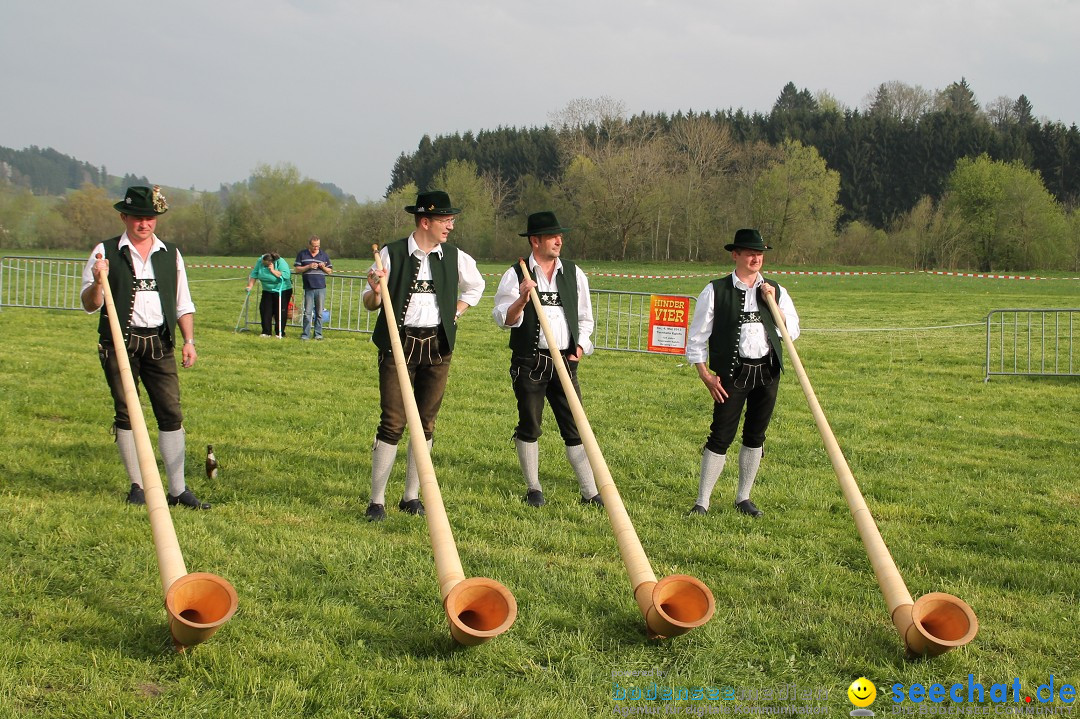 Eglofser Feuerzauber mit Ballongluehen: Eglofs - Wangen im Allgaeu, 01.05.2