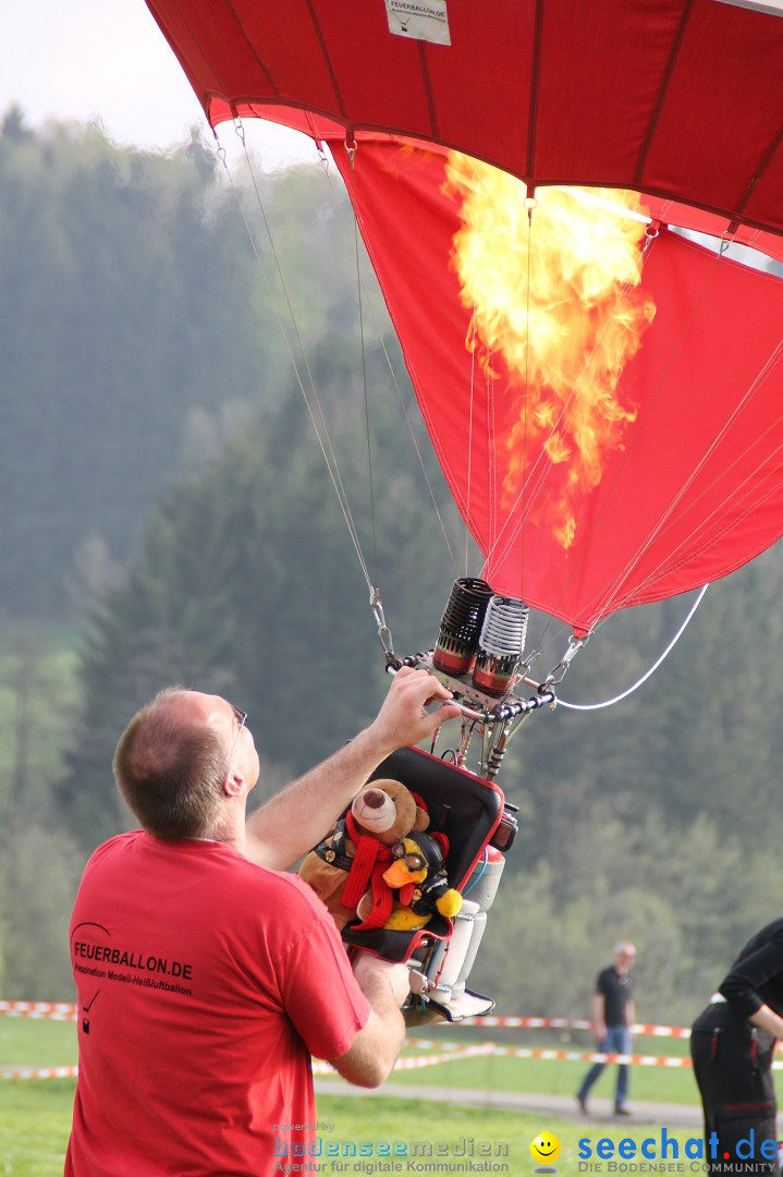 Eglofser Feuerzauber mit Ballongluehen: Eglofs - Wangen im Allgaeu, 01.05.2