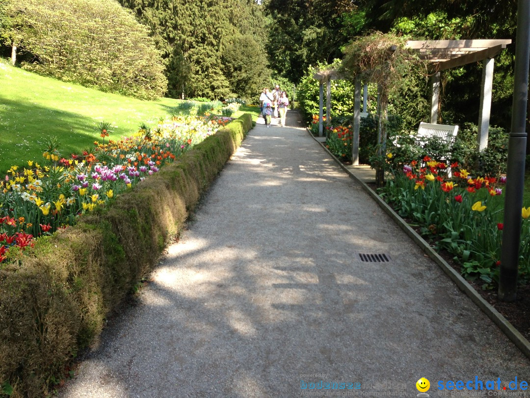 Ueberlingen-Promenade-Bootstour-050513-Bodesee-Community-SEECHAT_DE-IMG_4240.JPG