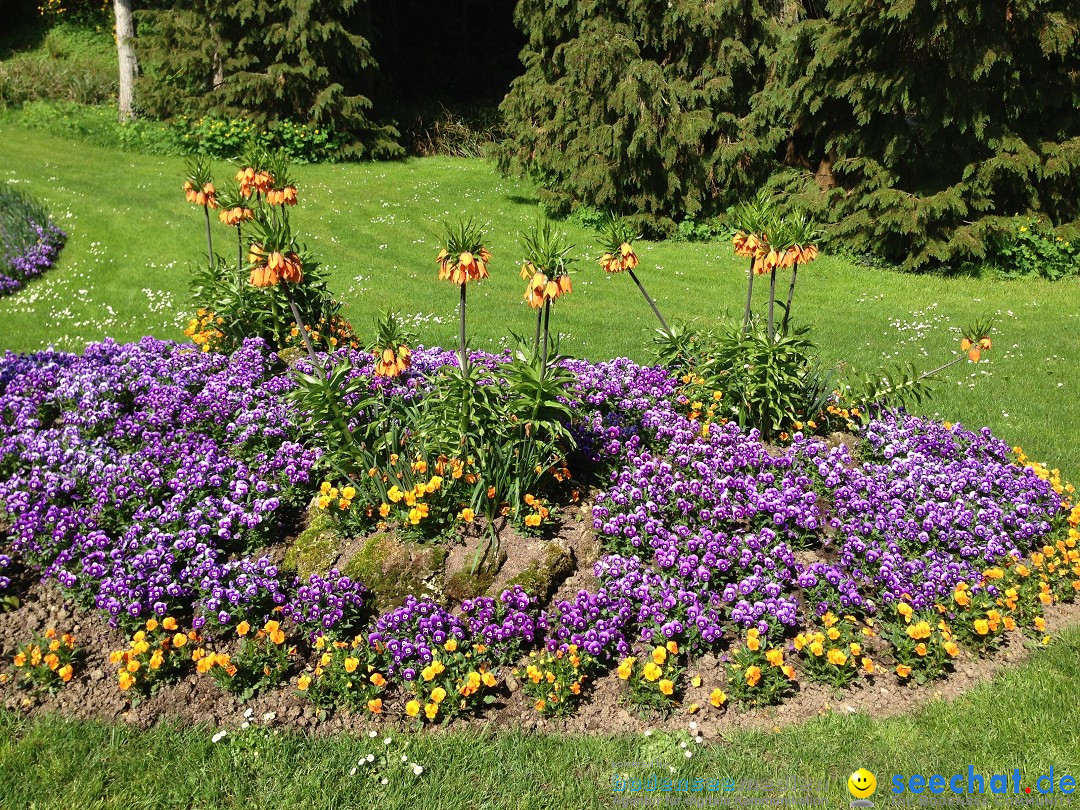 Ueberlingen-Promenade-Bootstour-050513-Bodesee-Community-SEECHAT_DE-IMG_4248.JPG