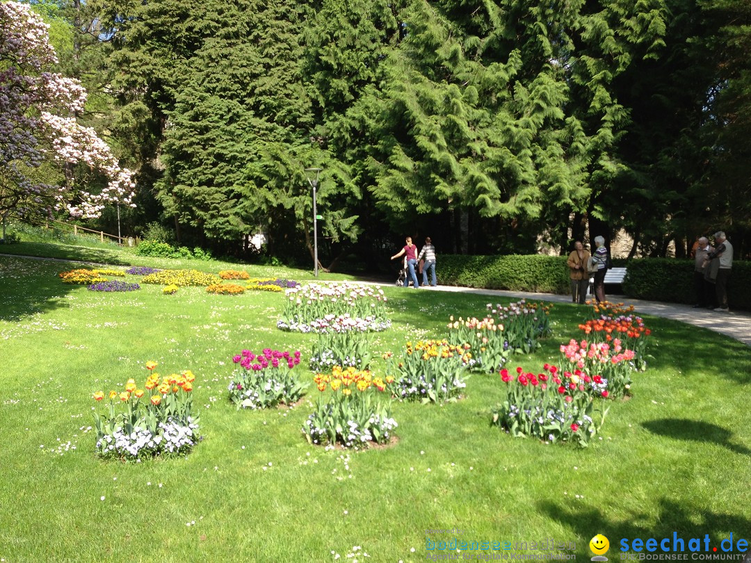 Ueberlingen-Promenade-Bootstour-050513-Bodesee-Community-SEECHAT_DE-IMG_4249.JPG