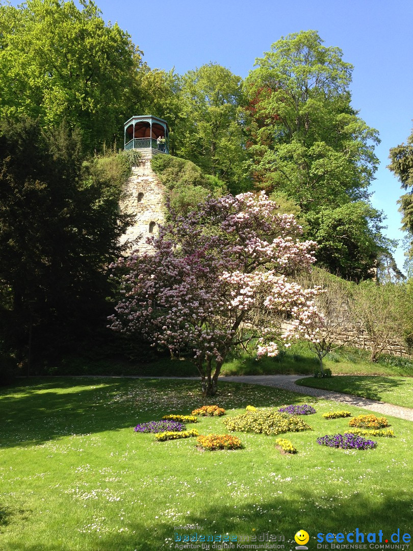 Ueberlingen-Promenade-Bootstour-050513-Bodesee-Community-SEECHAT_DE-IMG_4250.JPG