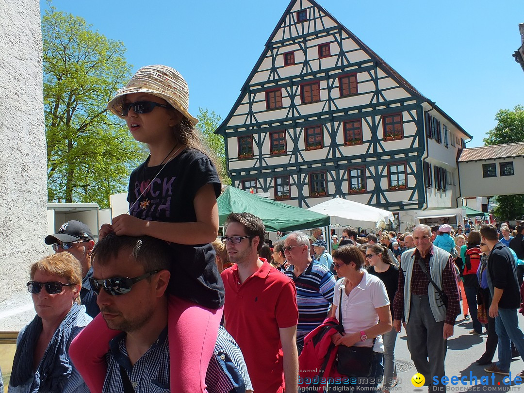 41. Flohmarkt mit verschiedenen Bands: Riedlingen, 18.05.2013