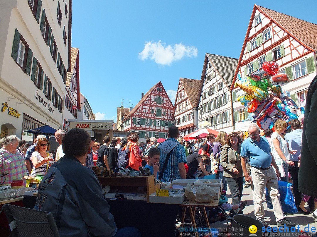 41. Flohmarkt mit verschiedenen Bands: Riedlingen, 18.05.2013