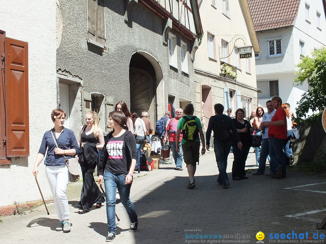 41. Flohmarkt mit verschiedenen Bands: Riedlingen, 18.05.2013