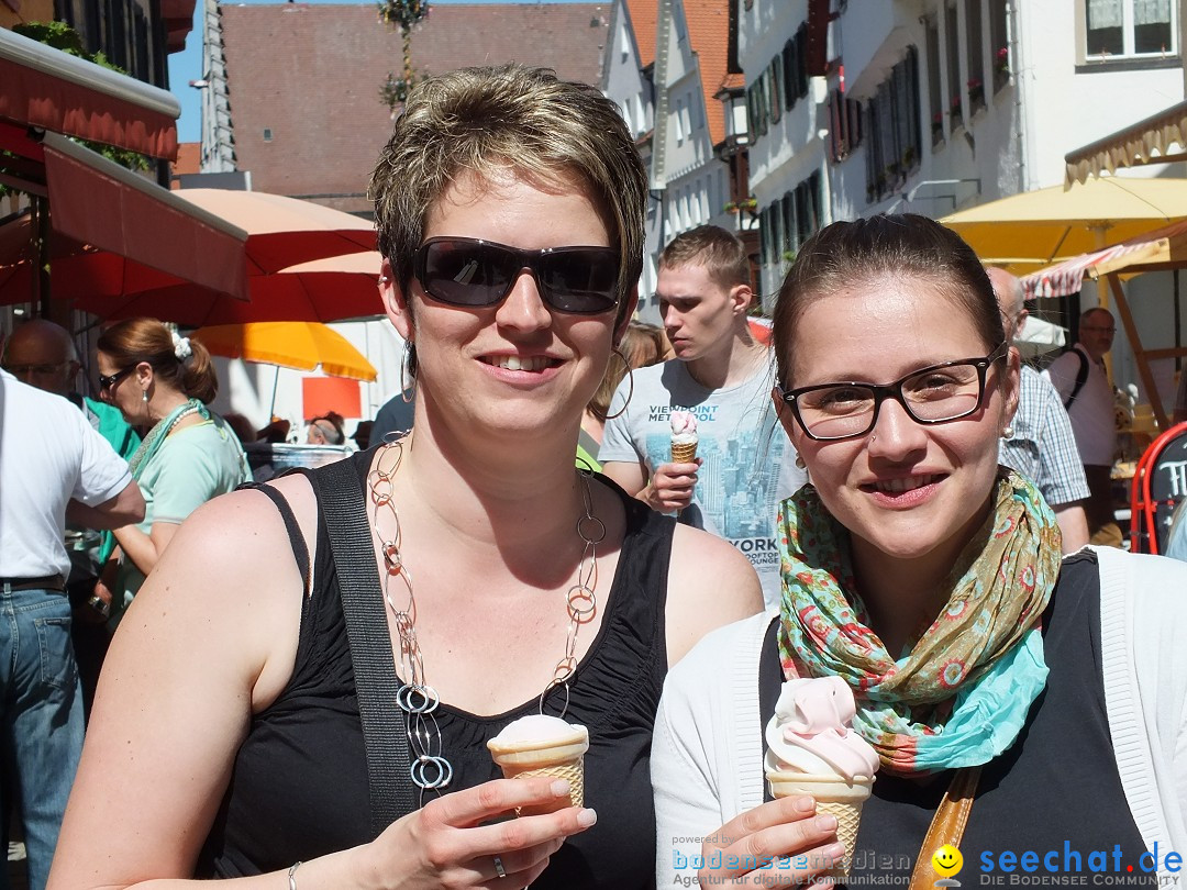 41. Flohmarkt mit verschiedenen Bands: Riedlingen, 18.05.2013