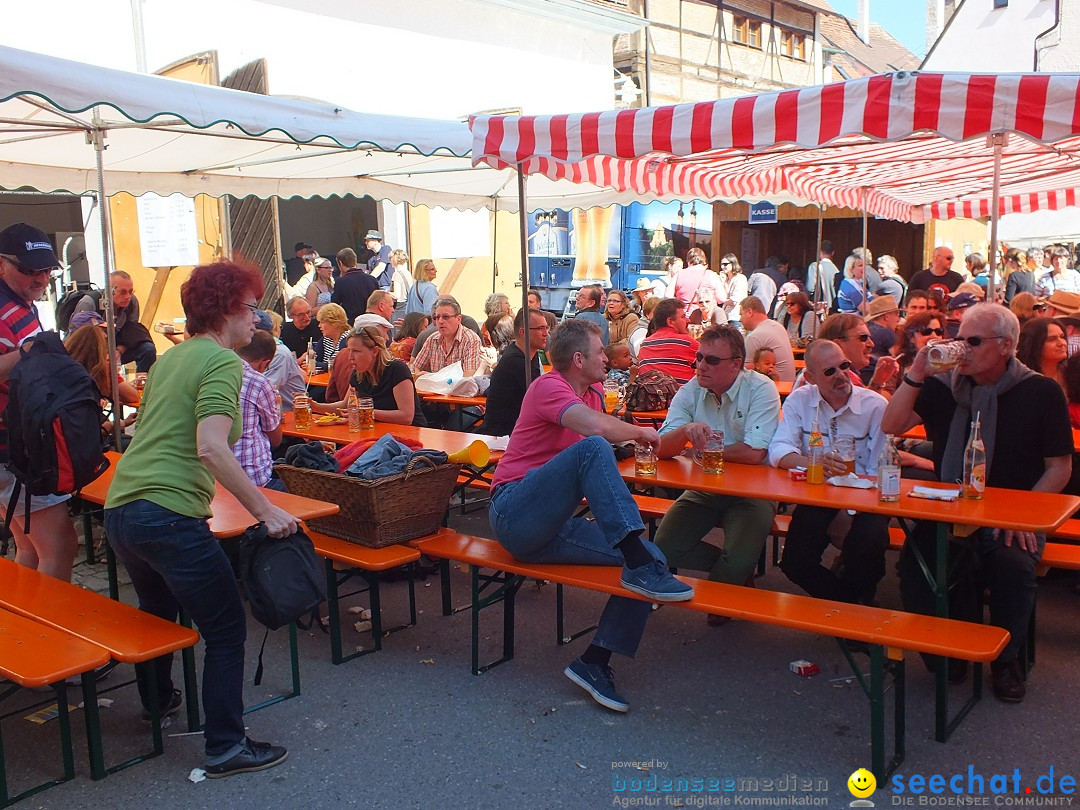 41. Flohmarkt mit verschiedenen Bands: Riedlingen, 18.05.2013