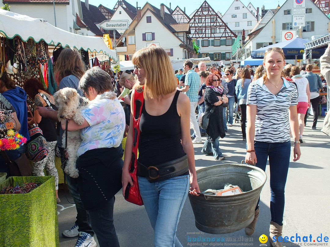 41. Flohmarkt mit verschiedenen Bands: Riedlingen, 18.05.2013