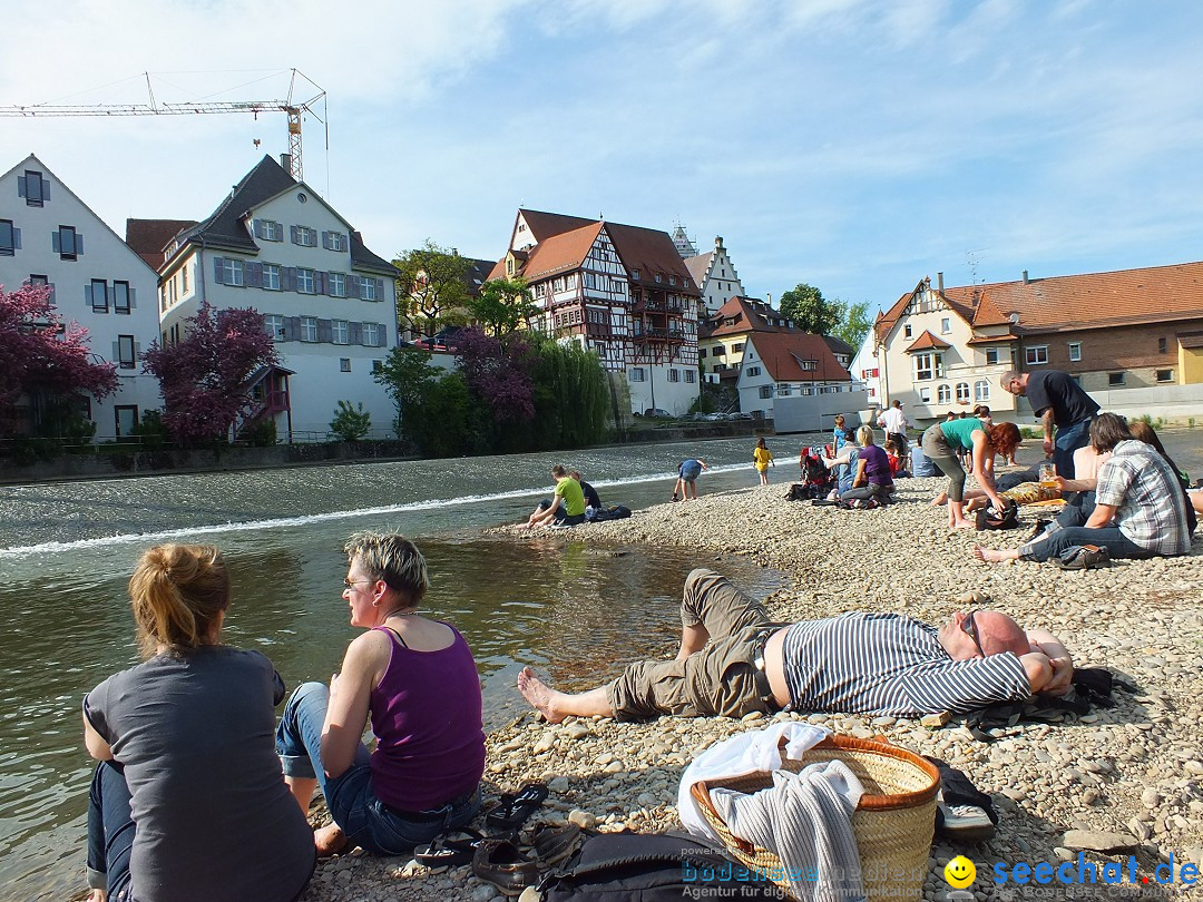 41. Flohmarkt mit verschiedenen Bands: Riedlingen, 18.05.2013