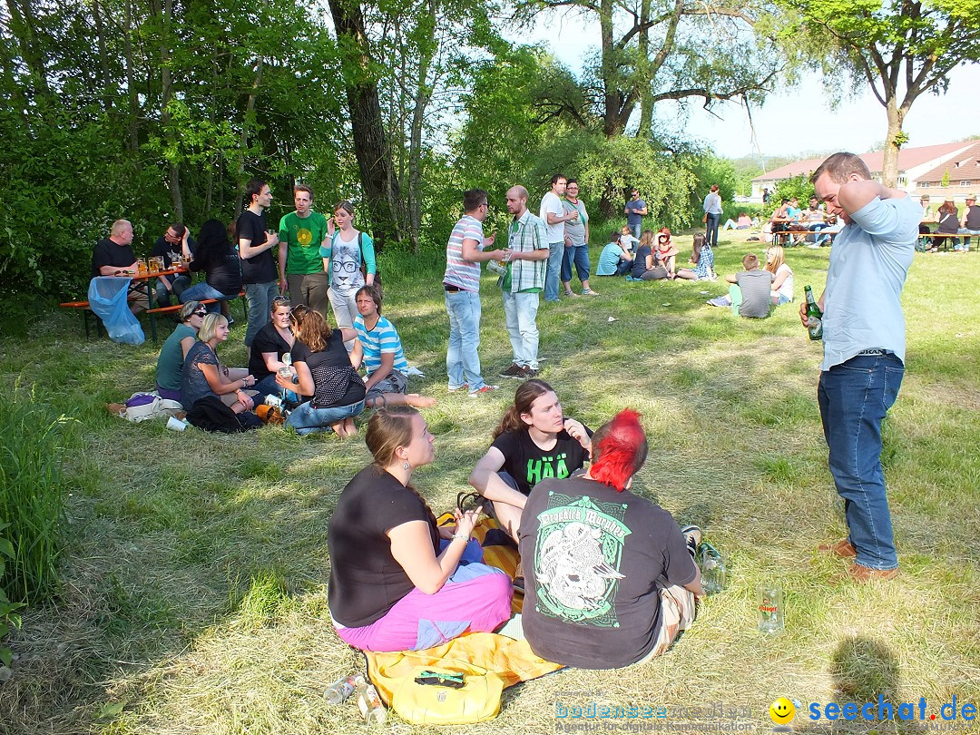 41. Flohmarkt mit verschiedenen Bands: Riedlingen, 18.05.2013