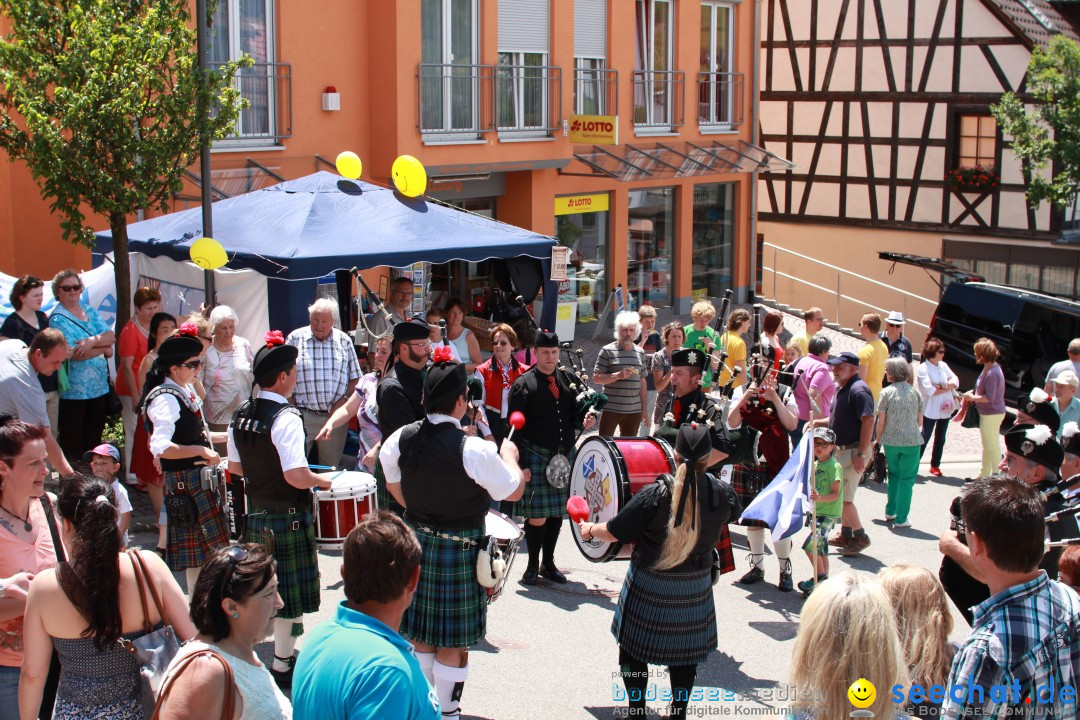 SEECHAT.DE INFOSTAND - Schweizertag: Stockach am Bodensee, 15.06.2013