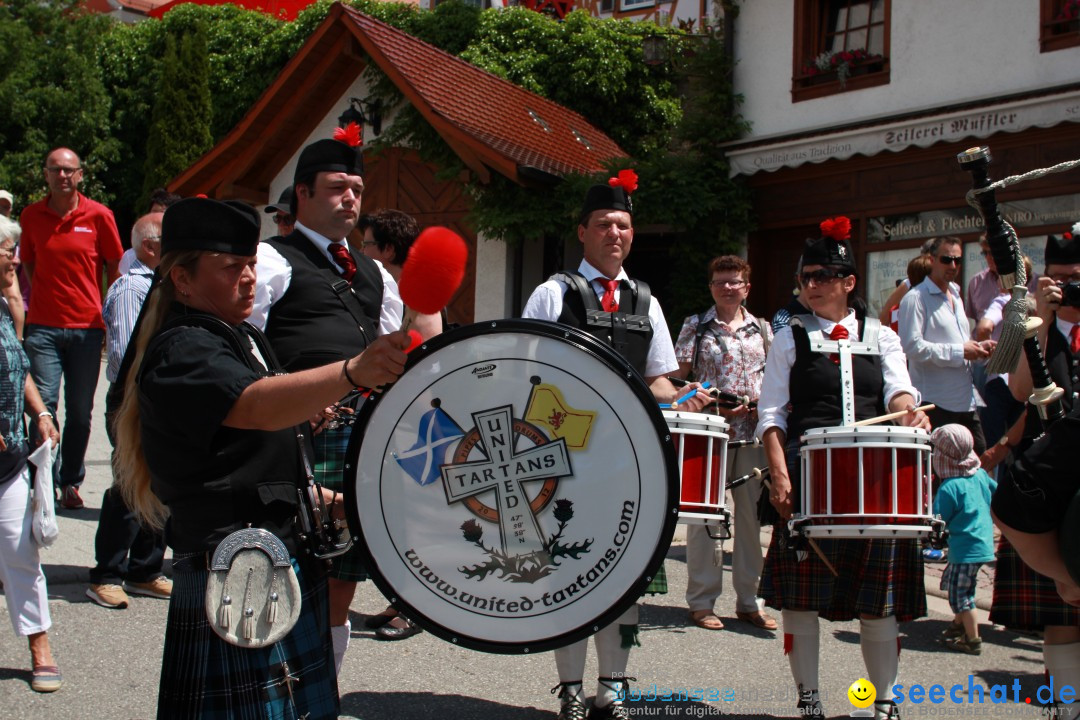 SEECHAT.DE INFOSTAND - Schweizertag: Stockach am Bodensee, 15.06.2013