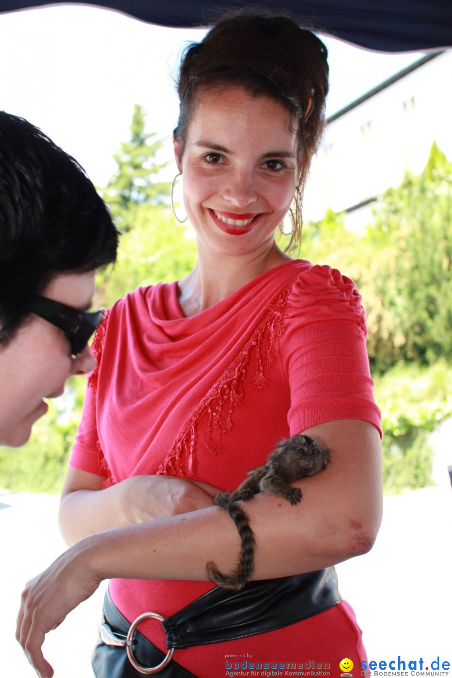 SEECHAT.DE INFOSTAND - Schweizertag: Stockach am Bodensee, 15.06.2013