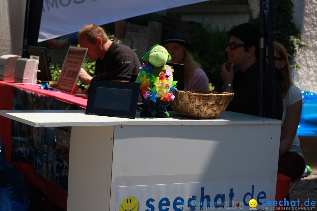 SEECHAT.DE INFOSTAND - Schweizertag: Stockach am Bodensee, 15.06.2013