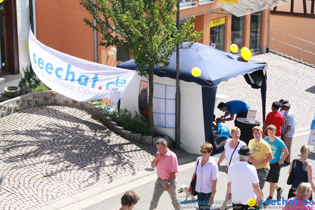 SEECHAT.DE INFOSTAND - Schweizertag: Stockach am Bodensee, 15.06.2013