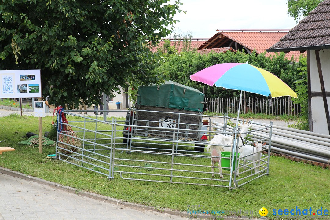 Hoffest-Rengoldshausen-Ueberlingen-2206-2013-Bodensee-Community-SEECHAT_de-IMG_8507.JPG