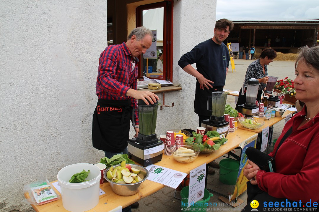 Hoffest-Rengoldshausen-Ueberlingen-2206-2013-Bodensee-Community-SEECHAT_de-IMG_8508.JPG