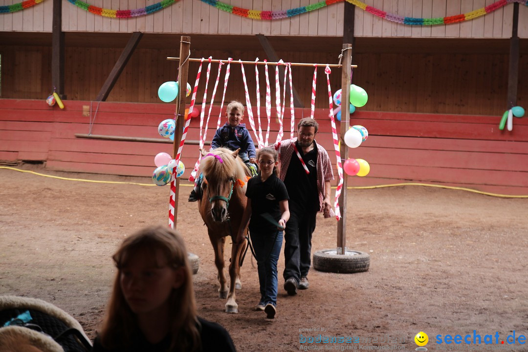 Hoffest-Rengoldshausen-Ueberlingen-2206-2013-Bodensee-Community-SEECHAT_de-IMG_8625.JPG