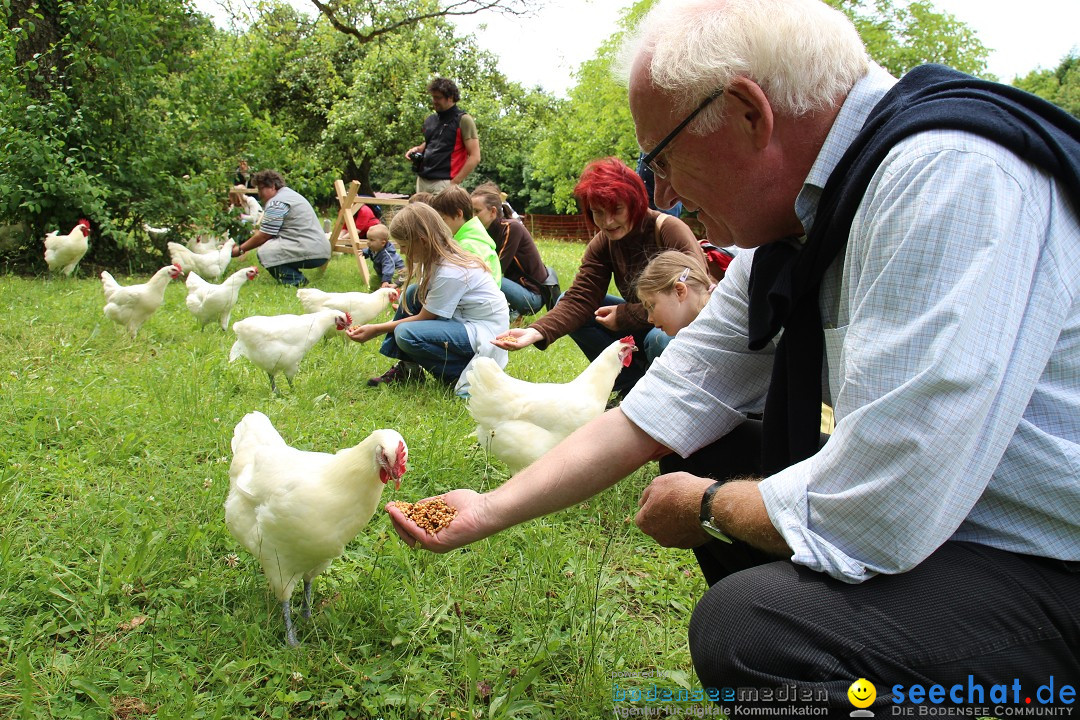 Hoffest-Rengoldshausen-Ueberlingen-2206-2013-Bodensee-Community-SEECHAT_de-IMG_8673.JPG