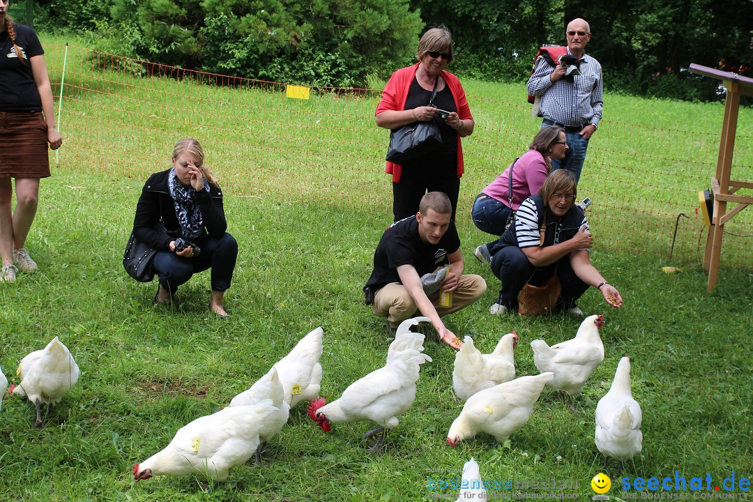 Hoffest-Rengoldshausen-Ueberlingen-2206-2013-Bodensee-Community-SEECHAT_de-IMG_8679.JPG